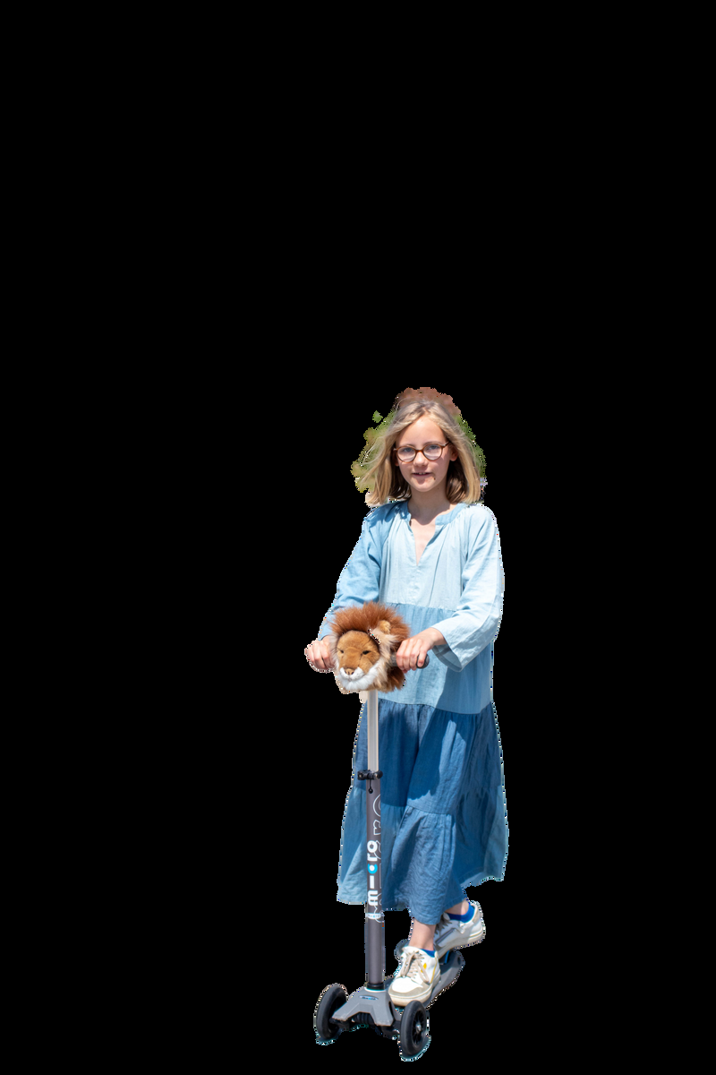 Wild & Soft Tête De Trottinette Lion