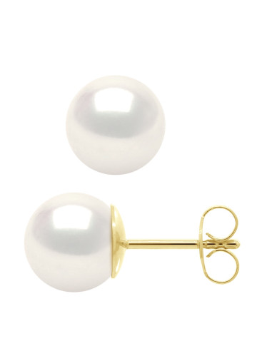 wk Boucles d'Oreilles Perle de Culture d'Eau Douce Ronde Or 750 Millièmes