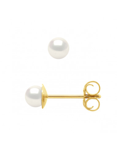 wk Boucles d'Oreilles Perle de Culture d'Eau Douce Ronde Or 375 Millièmes