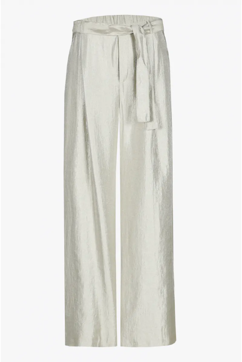 Xandres Pantalon Brillant à Pli Marqué 14366-02-3491