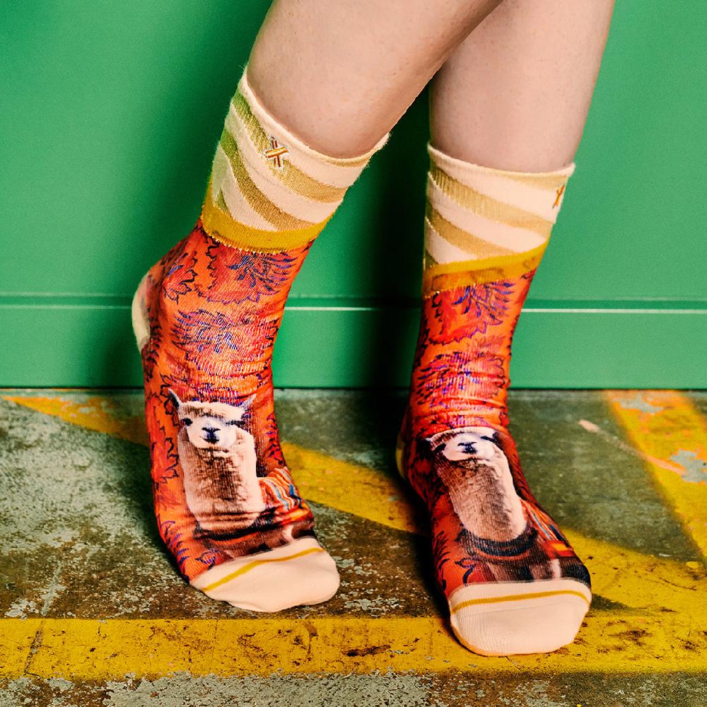 xpooos Chaussettes pour dames alpaga