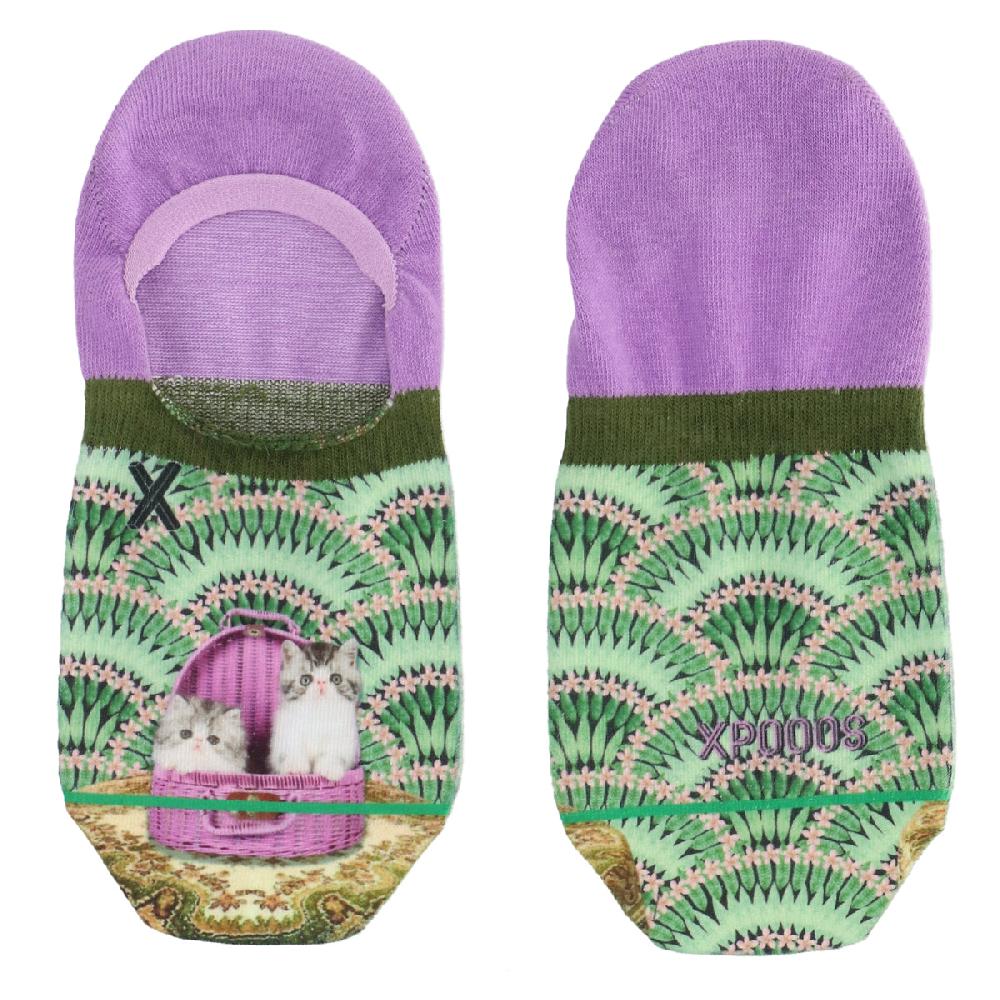 xpooos Hors de la boîte: footies