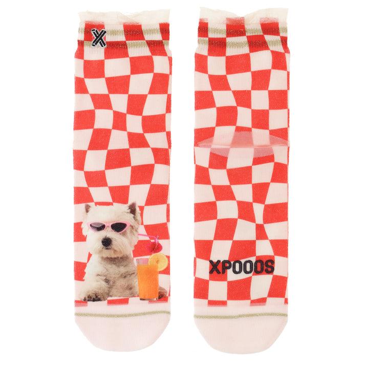 Xpooos Hôtes De Cocktail Dames Shortsocks