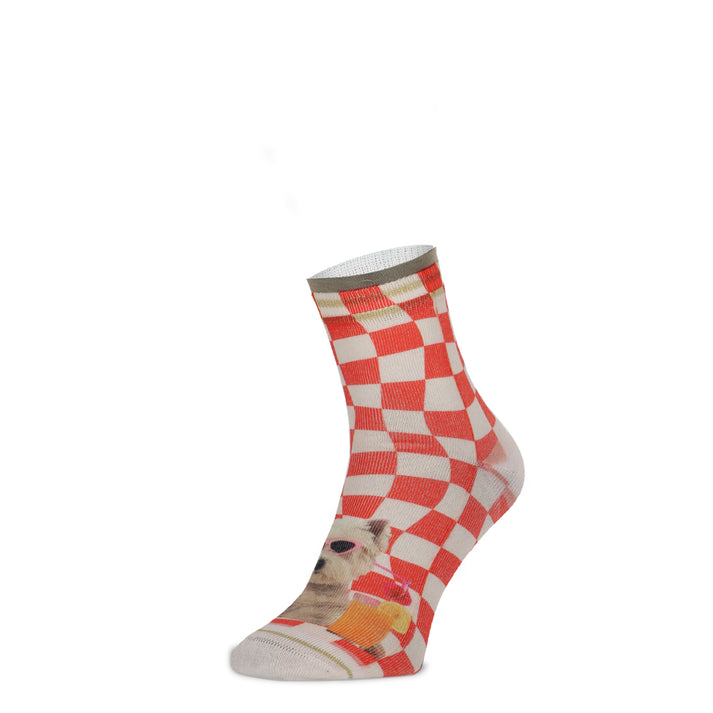 Xpooos Hôtes De Cocktail Dames Shortsocks