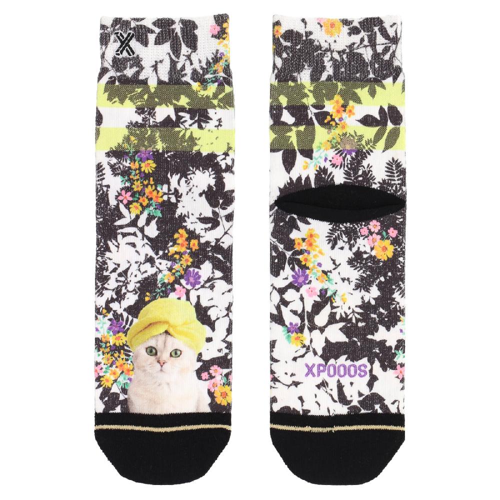 xpooos Mauvaise journée de cheveux: shortsocks