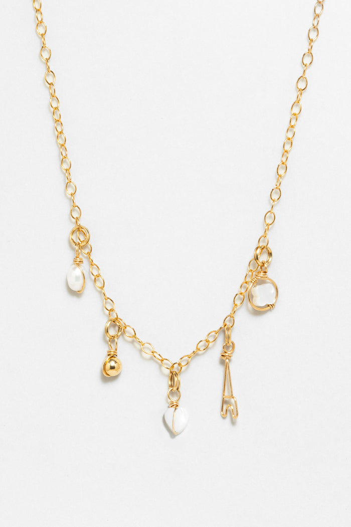 yay paris Box set of 5 charms and mesh necklace