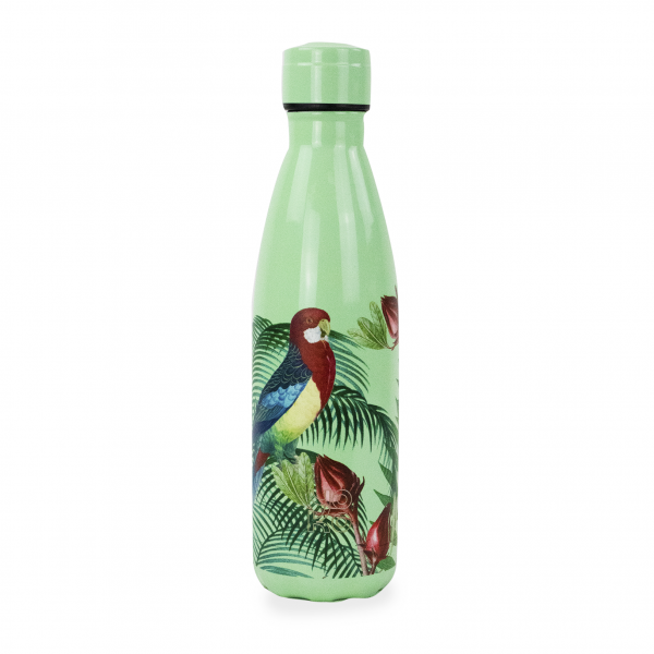 yoko design Bouteille isotherme Jardin Botanique - Perroquet 500 ml