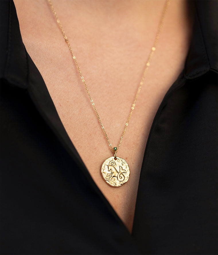 Zag Bijoux Collier Aigokereus